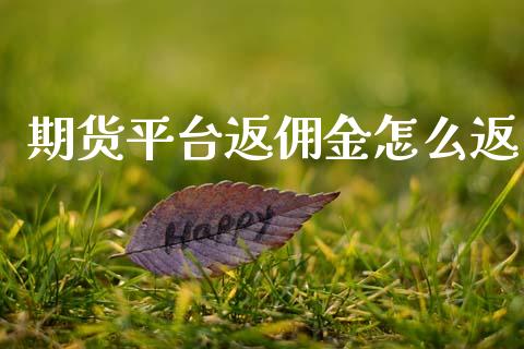 期货平台返佣金怎么返_https://www.gzshoujun.com_期货品种_第1张