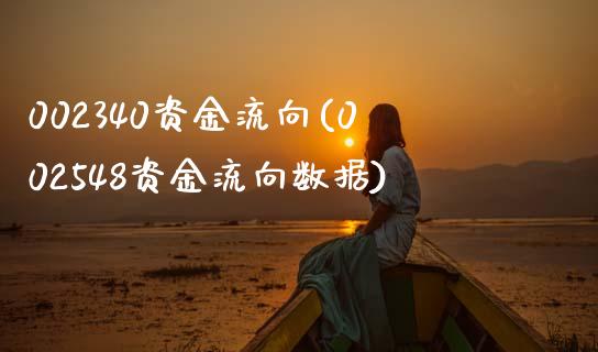 002340资金流向(002548资金流向数据)_https://www.gzshoujun.com_期货入门_第1张