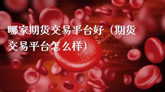 哪家期货交易平台好（期货交易平台怎么样）_https://www.gzshoujun.com_期货直播_第1张