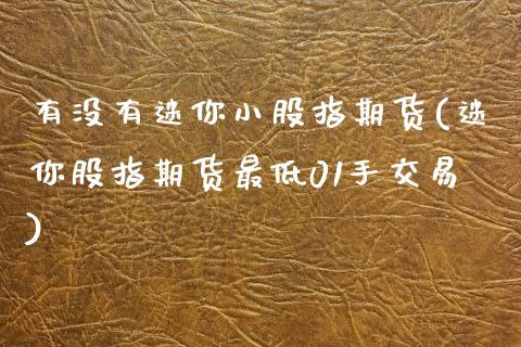 有没有迷你小股指期货(迷你股指期货最低01手交易)_https://www.gzshoujun.com_原油期货_第1张
