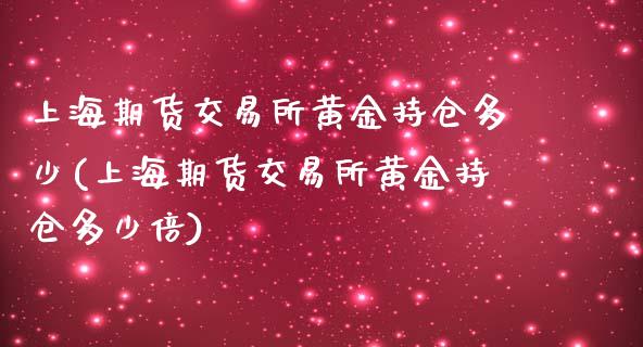 上海期货交易所黄金持仓多少(上海期货交易所黄金持仓多少倍)_https://www.gzshoujun.com_期货品种_第1张