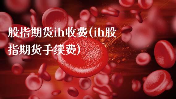 股指期货ih收费(ih股指期货手续费)_https://www.gzshoujun.com_期货直播_第1张