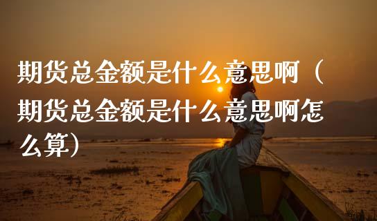 期货总金额是什么意思啊（期货总金额是什么意思啊怎么算）_https://www.gzshoujun.com_期货直播_第1张