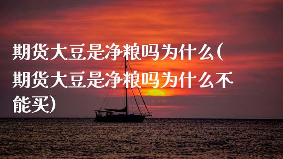 期货大豆是净粮吗为什么(期货大豆是净粮吗为什么不能买)_https://www.gzshoujun.com_期货品种_第1张