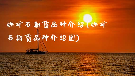 铁矿石期货品种介绍(铁矿石期货品种介绍图)_期货交易所_第1张_首骏网 铁矿石期货品种介绍(铁矿石期货品种介绍图)_https://www.gzshoujun.com_期货交易所_第1张