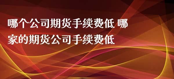 哪个期货手续费低 哪家的期货手续费低_https://www.gzshoujun.com_期货行情_第1张