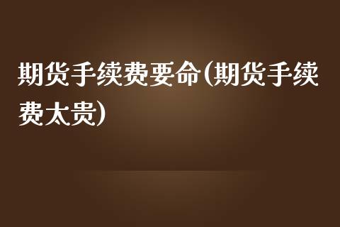 期货手续费要命(期货手续费太贵)_https://www.gzshoujun.com_期货直播_第1张