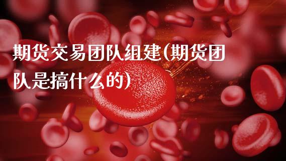期货交易团队组建(期货团队是搞什么的)_https://www.gzshoujun.com_期货行情_第1张