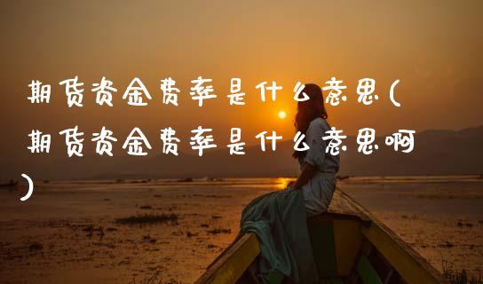 期货资金费率是什么意思(期货资金费率是什么意思啊)_https://www.gzshoujun.com_农产品期货_第1张