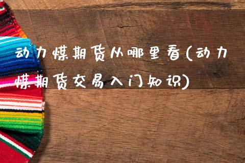 动力煤期货从哪里看(动力煤期货交易入门知识)_https://www.gzshoujun.com_农产品期货_第1张