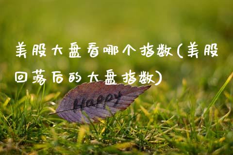 美股大盘看哪个指数(美股回落后的大盘指数)_https://www.gzshoujun.com_期货理财_第1张