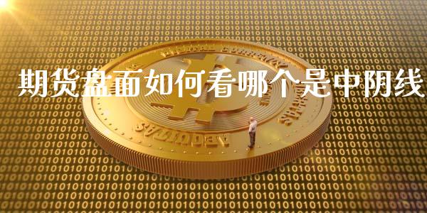 期货盘面如何看哪个是中阴线_https://www.gzshoujun.com_期货交易所_第1张
