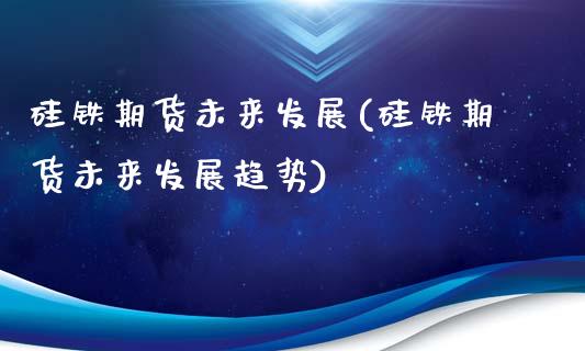 硅铁期货未来发展(硅铁期货未来发展趋势)_https://www.gzshoujun.com_期货交易所_第1张