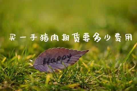 买一手猪肉期货要多少费用_https://www.gzshoujun.com_期货直播_第1张