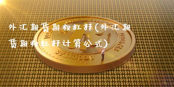 外汇期货期权杠杆(外汇期货期权杠杆计算公式)_https://www.gzshoujun.com_期货公司_第1张
