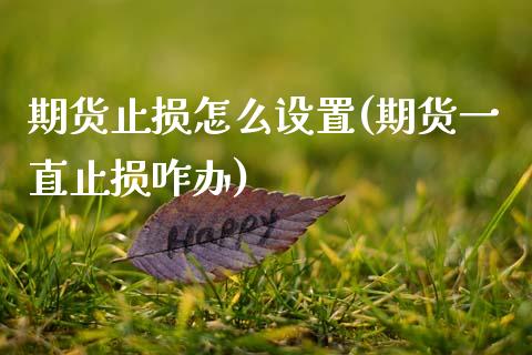 期货止损怎么设置(期货一直止损咋办)_https://www.gzshoujun.com_农产品期货_第1张