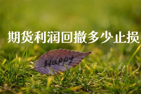 期货利润回撤多少止损_https://www.gzshoujun.com_期货交易所_第1张
