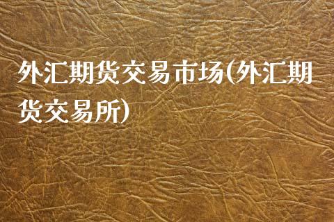 外汇期货交易市场(外汇期货交易所)_https://www.gzshoujun.com_期货品种_第1张