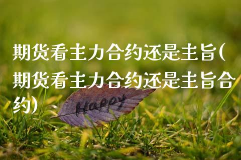 期货看主力合约还是主旨(期货看主力合约还是主旨合约)_https://www.gzshoujun.com_期货交易所_第1张