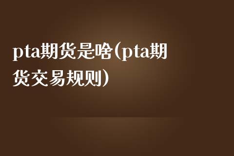 pta期货是啥(pta期货交易规则)_https://www.gzshoujun.com_期货交易所_第1张