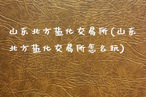山东北方盐化交易所(山东北方盐化交易所怎么玩)_https://www.gzshoujun.com_国际期货_第1张