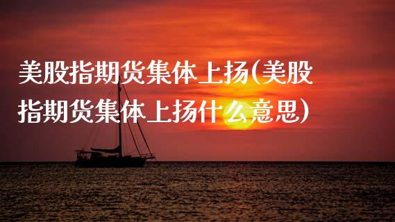 美股指期货集体上扬(美股指期货集体上扬什么意思)_https://www.gzshoujun.com_期货学院_第1张