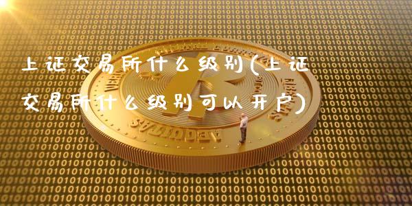 上证交易所什么级别(上证交易所什么级别可以开户)_https://www.gzshoujun.com_期货知识_第1张
