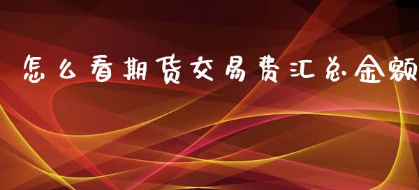 怎么看期货交易费汇总金额_https://www.gzshoujun.com_期货行情_第1张