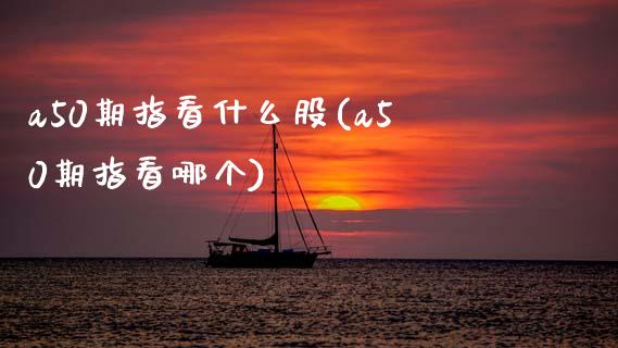 a50期指看什么股(a50期指看哪个)_https://www.gzshoujun.com_期货交易所_第1张