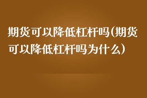 期货可以降低杠杆吗(期货可以降低杠杆吗为什么)_https://www.gzshoujun.com_农产品期货_第1张