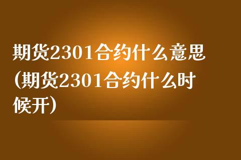 期货2301合约什么意思(期货2301合约什么时候开)_https://www.gzshoujun.com_国际期货_第1张