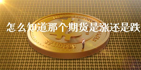 怎么知道那个期货是涨还是跌_期货直播_第1张_首骏网 怎么知道那个期货是涨还是跌_https://www.gzshoujun.com_期货直播_第1张