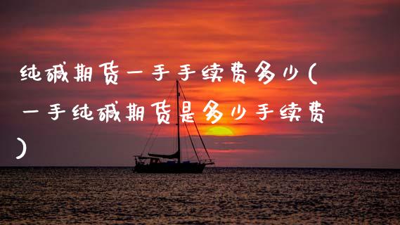纯碱期货一手手续费多少(一手纯碱期货是多少手续费)_https://www.gzshoujun.com_期货交易所_第1张