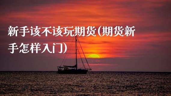 新手该不该玩期货(期货新手怎样入门)_https://www.gzshoujun.com_期货行情_第1张