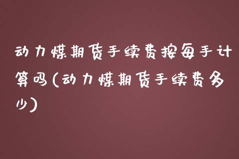 动力煤期货手续费按每手计算吗(动力煤期货手续费多少)_https://www.gzshoujun.com_期货交易所_第1张