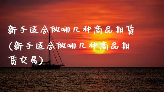 新手适合做哪几种商品期货(新手适合做哪几种商品期货交易)_https://www.gzshoujun.com_基金理财_第1张