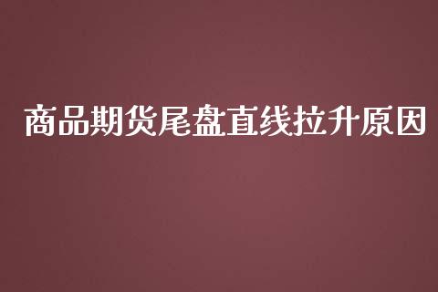 商品期货尾盘直线拉升原因_https://www.gzshoujun.com_农产品期货_第1张