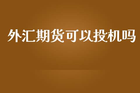外汇期货可以投机吗_https://www.gzshoujun.com_期货交易所_第1张