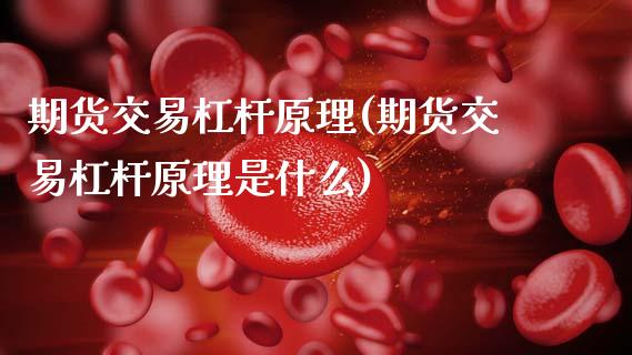 期货交易杠杆原理(期货交易杠杆原理是什么)_https://www.gzshoujun.com_农产品期货_第1张