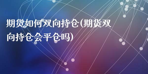 期货如何双向持仓(期货双向持仓会平仓吗)_https://www.gzshoujun.com_农产品期货_第1张