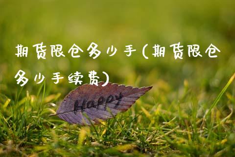 期货限仓多少手(期货限仓多少手续费)_https://www.gzshoujun.com_期货交易所_第1张