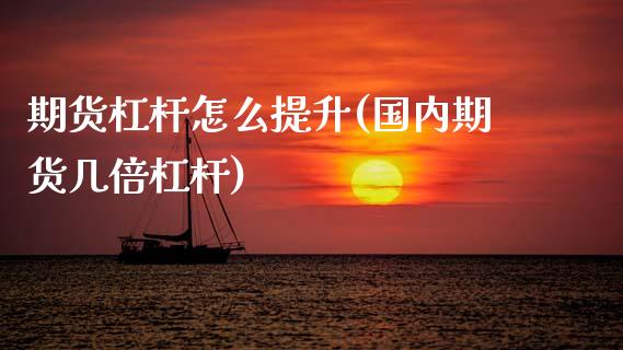 期货杠杆怎么提升(国内期货几倍杠杆)_https://www.gzshoujun.com_农产品期货_第1张
