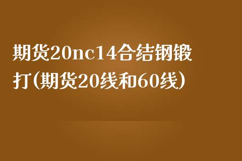 期货20nc14合结钢锻打(期货20线和60线)_https://www.gzshoujun.com_期货品种_第1张