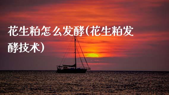 花生粕怎么发酵(花生粕发酵技术)_https://www.gzshoujun.com_期货入门_第1张