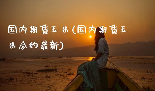 国内期货玉米(国内期货玉米合约最新)_https://www.gzshoujun.com_农产品期货_第1张
