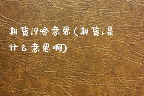 期货l9啥意思(期货l是什么意思啊)_https://www.gzshoujun.com_期货行情_第1张