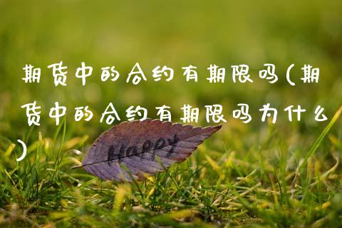期货中的合约有期限吗(期货中的合约有期限吗为什么)_https://www.gzshoujun.com_农产品期货_第1张