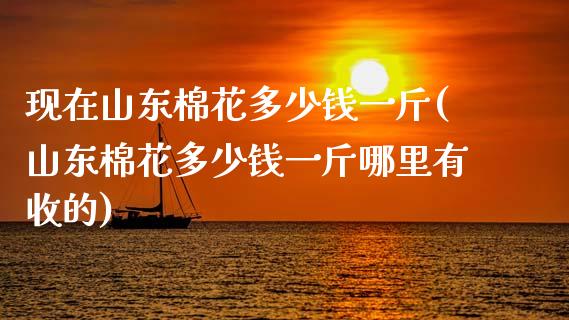 现在山东棉花多少钱一斤(山东棉花多少钱一斤哪里有收的)_https://www.gzshoujun.com_恒指期货_第1张