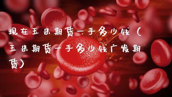 现在玉米期货一手多少钱（玉米期货一手多少钱广发期货）_https://www.gzshoujun.com_期货知识_第1张