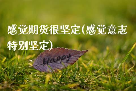 感觉期货很坚定(感觉意志特别坚定)_https://www.gzshoujun.com_期货品种_第1张